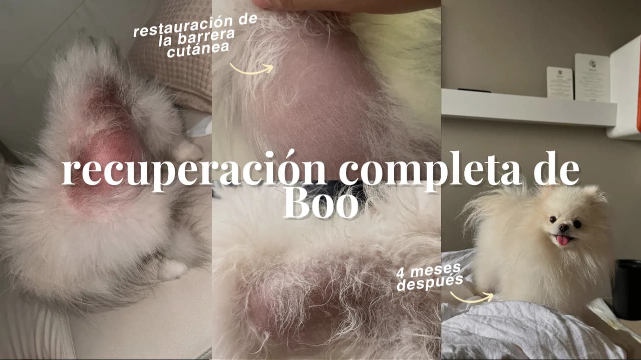 Evolución real de la piel y el manto de Boo